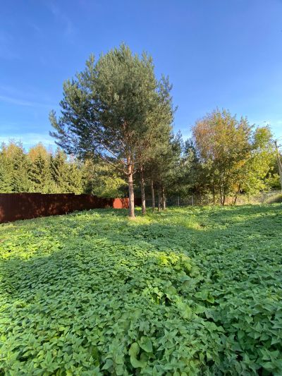 photo 6508520e816ad_thumb.jpg