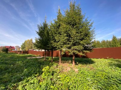 photo 650852108cf83_thumb.jpg