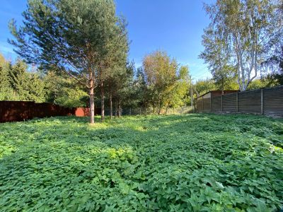 photo 65085211b3f3c_thumb.jpg