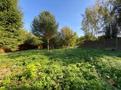 photo 65085212e529d_thumb.jpg