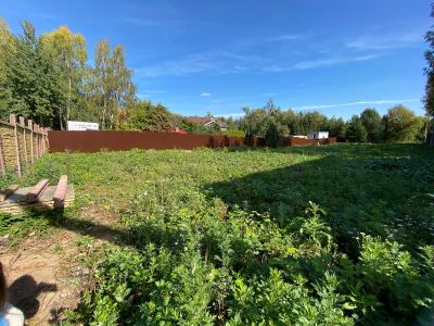 photo 6508521549f25_thumb.jpg