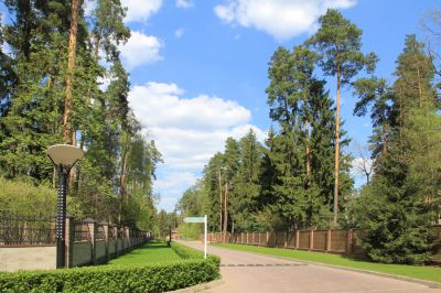 photo 63be995d36706_thumb.jpg