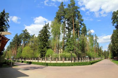 photo 63be995d823ba_thumb.jpg