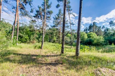 photo 63be99620d0f6_thumb.jpg