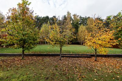 photo 68f748a74496b_thumb.jpg