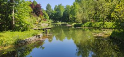 photo 63be99e2c2903_thumb.jpg