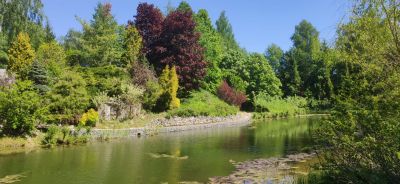 photo 63be99e3616ac_thumb.jpg