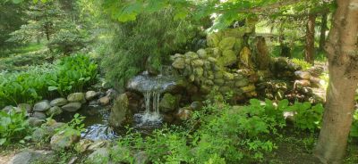 photo 63be99e49bb54_thumb.jpg