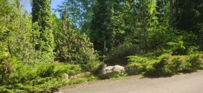 photo 63be99e53de69_thumb.jpg