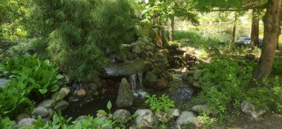 photo 63be99e5d821f_thumb.jpg