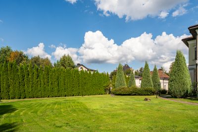 photo 68f21edaad454_thumb.jpg