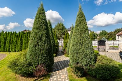 photo 68f21edc772d6_thumb.jpg