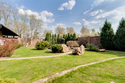 photo 63be9c81e7c99_thumb.jpg