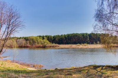 photo 63be9e01a840c_thumb.jpg