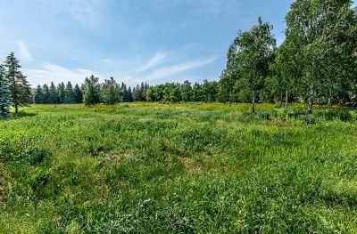 photo 63bea467126e6_thumb.jpg