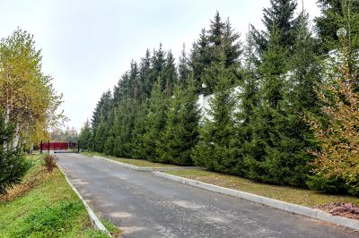 photo 63bea489d75b0_thumb.jpg