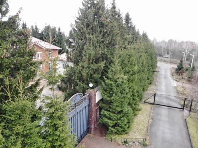 photo 64f09da6152aa_thumb.jpg