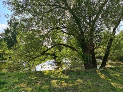 photo 63bea6c33a925_thumb.jpg