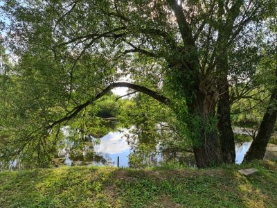 photo 63bea6c415e04_thumb.jpg