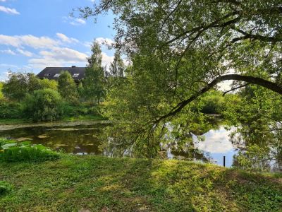 photo 63bea6c4e38f0_thumb.jpg