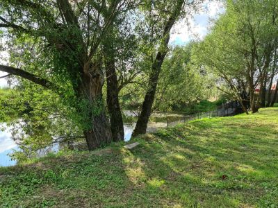 photo 63bea6c66d76a_thumb.jpg