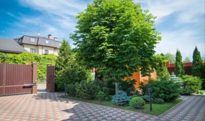 photo 63bea89f0f5de_thumb.jpg