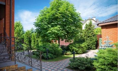 photo 63bea89f4936c_thumb.jpg