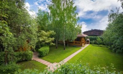 photo 63bea8a066e81_thumb.jpg