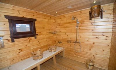 photo 63bea8a0dc7ba_thumb.jpg