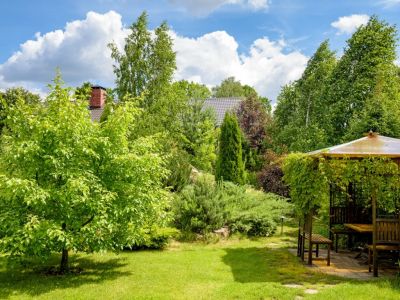 photo 63beae6be9456_thumb.jpg