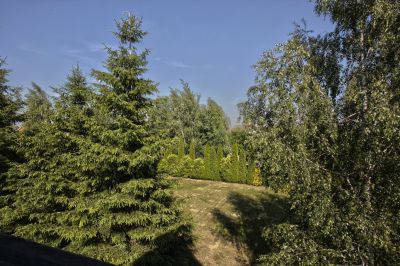 photo 63beaff32572b_thumb.jpg