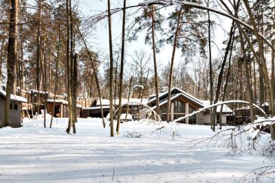 photo 63beb0ed0cd15_thumb.jpg