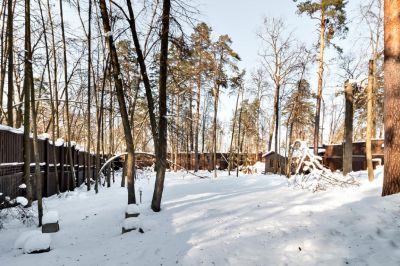 photo 63beb0edd5fa3_thumb.jpg