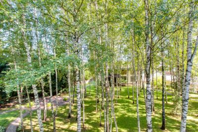 photo 63beb5d542c4b_thumb.jpg