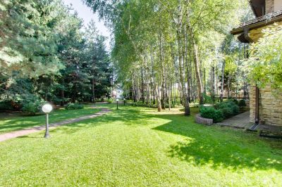 photo 63beb5e6d277a_thumb.jpg