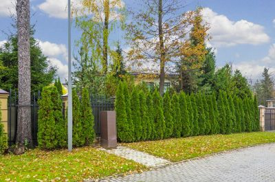 photo 63beb645cf909_thumb.jpg