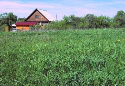 photo 63beb9f10bf76_thumb.jpg