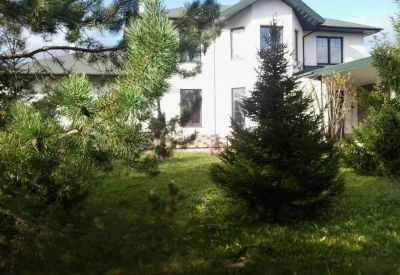 photo 63bebddc6f737_thumb.jpg