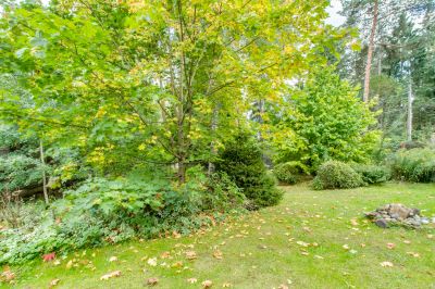 photo 63bec0fea5f4a_thumb.jpg