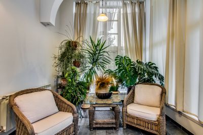 photo 63bec22685f4e_thumb.jpg