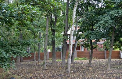 photo 63bec28c56ecd_thumb.jpg