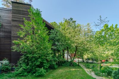 photo 683d5a2d989c0_thumb.jpg