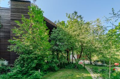 photo 683d5a305bd18_thumb.jpg