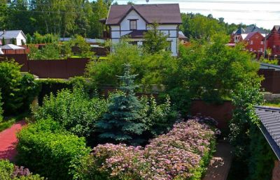 photo 63f3c5879db29_thumb.jpg