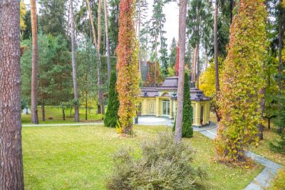 photo 63f3c59a1b9ce_thumb.jpg