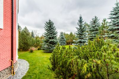 photo 63f3c5d15e7fe_thumb.jpg