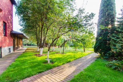 photo 63f3c621777e4_thumb.jpg