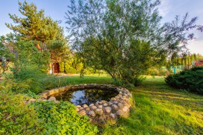 photo 63f3c626f226c_thumb.jpg