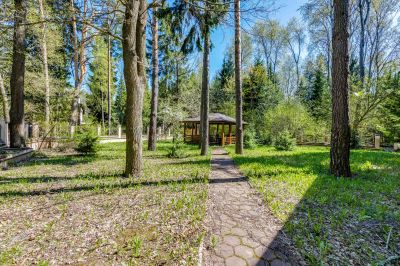 photo 63f3d7ef07f55_thumb.jpg