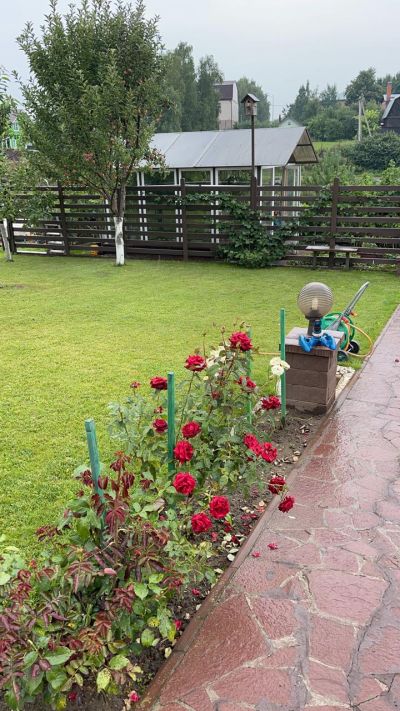 photo 63f3d819c744c_thumb.jpg